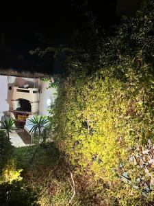 a green bush next to a building with a oven at Magnifique villa El Haouaria-Nabeul in El Haouaria