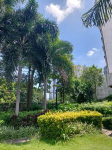 馬尼拉的住宿－Minimalist Condo Studio City Tower 2 Filinvest Alabang Muntinlupa，种有棕榈树和黄色花卉的花园