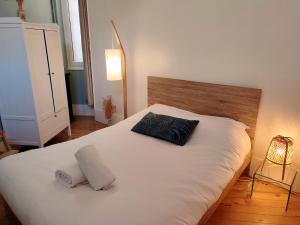 ein Bett mit zwei Kissen darauf in einem Schlafzimmer in der Unterkunft Bleu du Maine - Elegant T3 avec terrasse in Toulouse