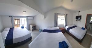 1 dormitorio con 2 camas, TV y 2 ventanas en Apartamentos SurOeste, en San Andrés