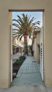 a palm tree in the middle of a walkway at Alquileres Grutenses in Las Grutas