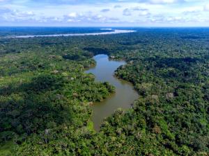 an aerial view of a river in the jungle at La Selva Eco-Lodge & Retreat in Providencia