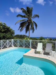 una piscina con due sedie e una palma di Villa Muscade guadeloupe, piscine, vue mer et accès plage a Saint-François