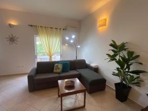ein Wohnzimmer mit einem Sofa und einer Pflanze in der Unterkunft Leme Bedje - Two bedroom, Pool & Wifi in Santa Maria