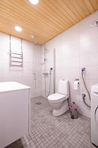 a bathroom with a toilet and a shower in it at Nice studio apartment on a pedestrian street in Helsinki