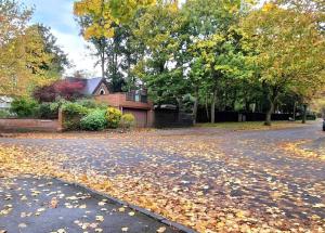 una calle con hojas en el suelo frente a una casa en Unique 3 b'room house + free parking /city centre en Nottingham