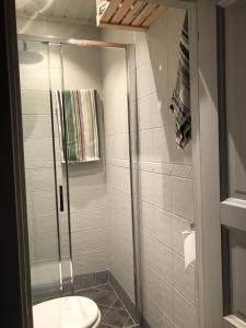 a bathroom with a toilet and a glass shower at Botanical garden apartments in Oslo