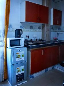 a kitchen with a stove and a microwave at Sojah Apartment in Dar es Salaam
