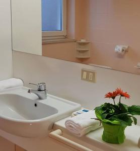 ein Badezimmer mit einem Waschbecken und einer Topfpflanze auf einer Theke in der Unterkunft Casa Ava Cavalese in Cavalese