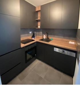 a kitchen with black cabinets and a sink at Apartman Madagaskar in Banja Luka