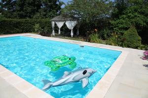 a pool with a stuffed shark and a toy turtle at Le Miroir des Etoiles in Pomport