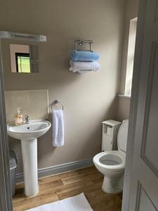uma casa de banho com um lavatório e um WC em Room to rent em Mullingar