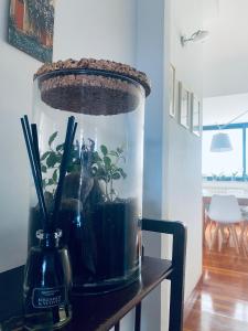 um vaso com uma planta sobre uma mesa em La casa di Dani em Florença