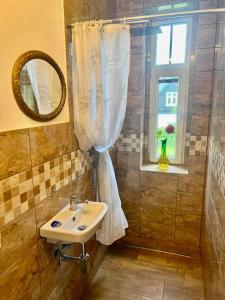 een badkamer met een wastafel en een douche met een spiegel bij Vila Kučera in Chřibská