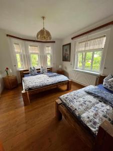 a bedroom with two beds and a chandelier at Vila Kučera in Chřibská +27 photos
