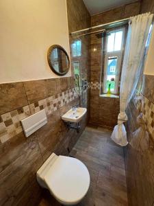 a bathroom with a toilet and a sink at Vila Kučera in Chřibská