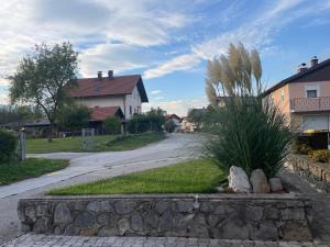 Zahrada ubytování Apartma Šohen