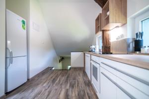 Kuchyň nebo kuchyňský kout v ubytování Apartmán Janov