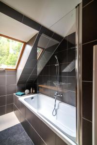 Koupelna v ubytování Apartmán Janov