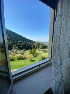 ein Fenster mit Blick auf ein grünes Feld in der Unterkunft Casa Franceschini in Poggio Mirteto