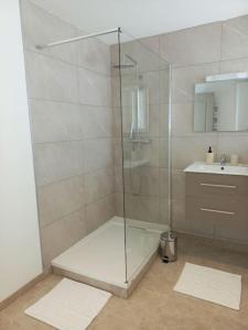 a bathroom with a glass shower with a sink at Appartement Les Géraniums in Remiremont