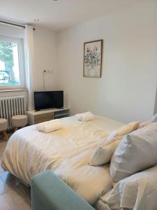 a bedroom with a large bed and a tv at Appartement Les Géraniums in Remiremont