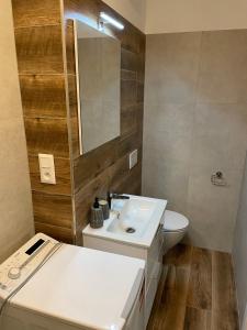 een badkamer met een wastafel, een toilet en een spiegel bij Apartmán Gréner in Svit
