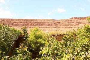 Paesaggio naturale nelle vicinanze dell'affittacamere