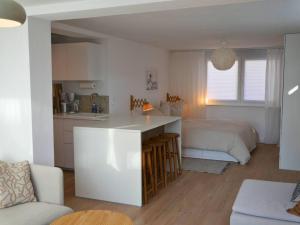 a kitchen and living room with a bed in a room at Moderne Studio Ferienwohnung in Bad Doberan in Bad Doberan