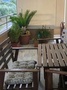 dois bancos de madeira sentados numa sala com vasos de plantas em Modern House 