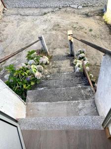 a set of concrete steps with flowers and plants at Cozy 3-BR Getaway, Lama de Arcos by LovelyStay 