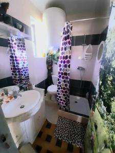 a bathroom with a sink and a toilet and a shower at Ferme Arboucau in Peyrouse