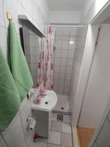 een kleine badkamer met een wastafel en een douche bij Una in Umag +11 foto's