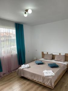 ein Schlafzimmer mit einem großen Bett und einem Fenster in der Unterkunft THE CENTER Apartments Comfort in Sandanski