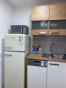 Kuchyň nebo kuchyňský kout v ubytování Apartmán pod vlekem