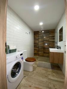 豪洛尼馬拉烏巴的住宿－Apartmán pod vlekem，一间带洗衣机和水槽的浴室
