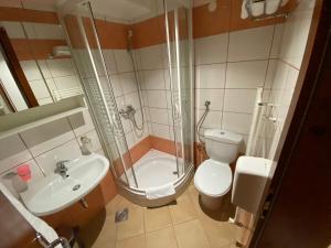 ein Bad mit einer Dusche, einem WC und einem Waschbecken in der Unterkunft Pansion Vlašić Ski in Šišava