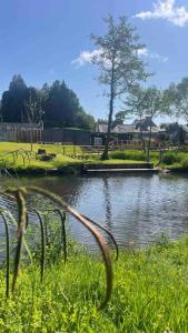 un laghetto in un parco con erba e albero di Maison Moderne et Confortable centre Bretagne a Plouguenast Langast Altre 16 foto