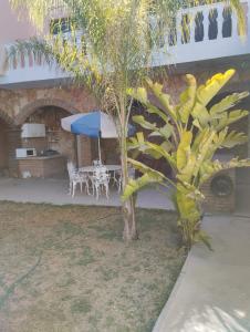 a table and a palm tree in front of a building at casa de campo Angel in Tehuacán