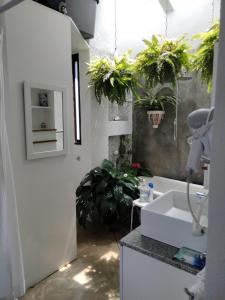 a bathroom with a sink and potted plants on the wall at Habitación con vista al lago in Valle de Bravo