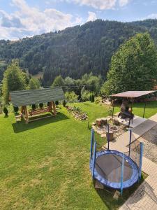 eine Luftansicht auf einen Hinterhof mit einem Tisch und einem Pavillon in der Unterkunft APUSENI HOLIDAYS in Răchiţele