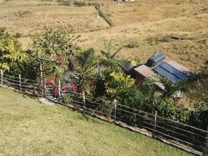 Gallery image of Sheep and Stars in Coffee Bay
