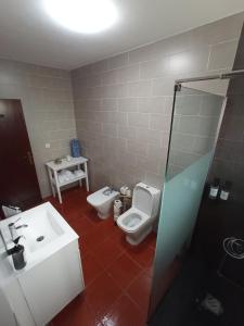 La salle de bains est pourvue de toilettes et d'un lavabo. dans l'établissement OCEANVIEW, à Lajes das Flores