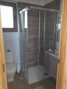 a bathroom with a shower and a toilet at Villa La Casita. in La Matanza de Acentejo