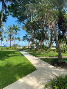 a path through a park with palm trees at Silver Sands Beach Resort in Miami