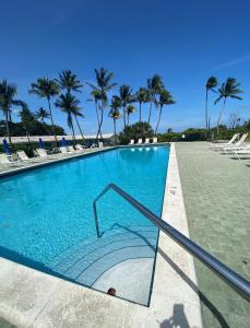 une piscine avec des palmiers en arrière-plan dans l'établissement Silver Sands Beach Resort, à Miami