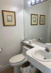 uma casa de banho com um WC, um lavatório e um espelho. em Silver Sands Beach Resort em Miami