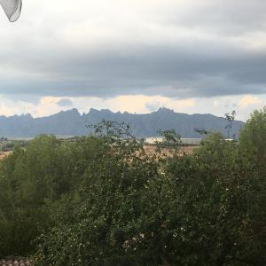 a view of a field with trees and mountains at Vi l'Art Wine Lodge - Only Adults in Piera