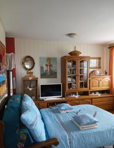 ein Wohnzimmer mit einem Bett und einem TV in der Unterkunft Apartments Bakine Čarolije in Karanac