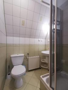łazienka z toaletą i umywalką w obiekcie Pokoje i Apartament U Ireny w Poroninie